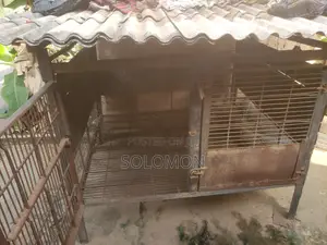 Movable Solid Iron Dog Cage for Give Away Price