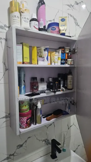 Bathroom Mirror Cabinet