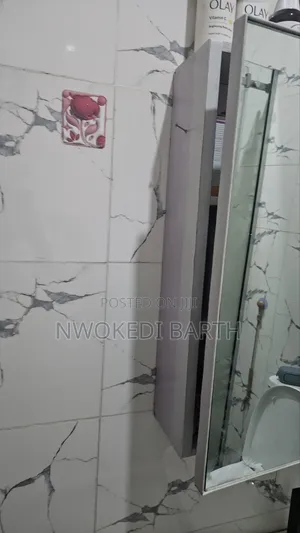 Bathroom Mirror Cabinet