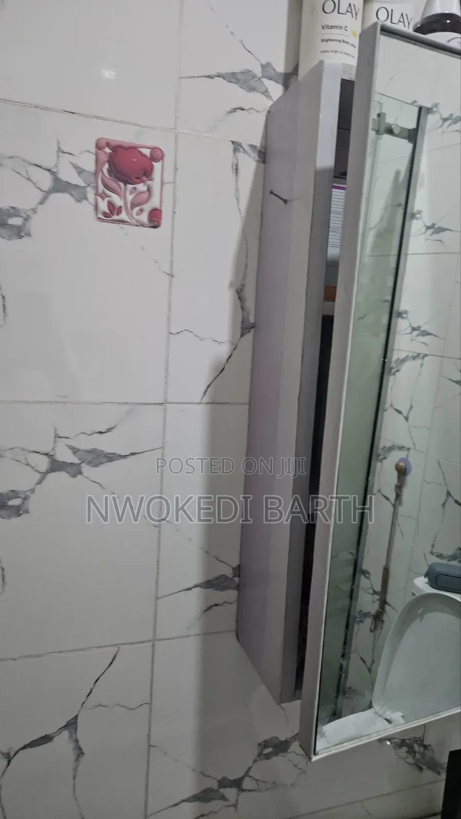 Bathroom Mirror Cabinet