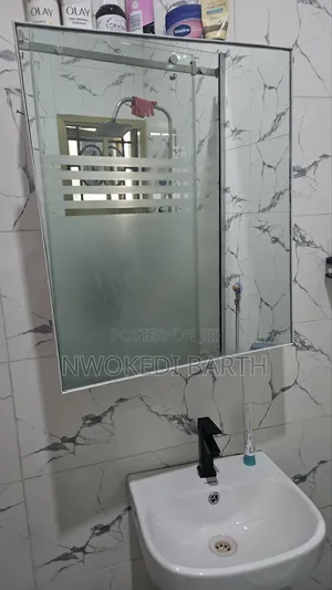 Bathroom Mirror Cabinet