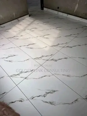 Professional Tiling Work