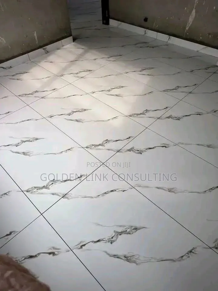 Professional Tiling Work