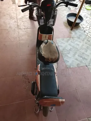 Electric Bicycle