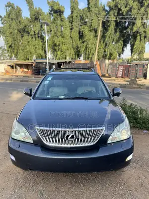 Lexus RX 330 2005 Gray