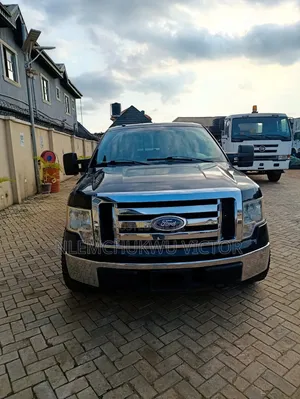Ford F-150 2010 Black