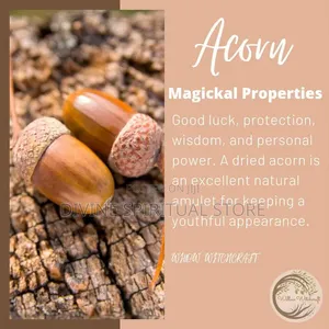 Acorn Amulets
