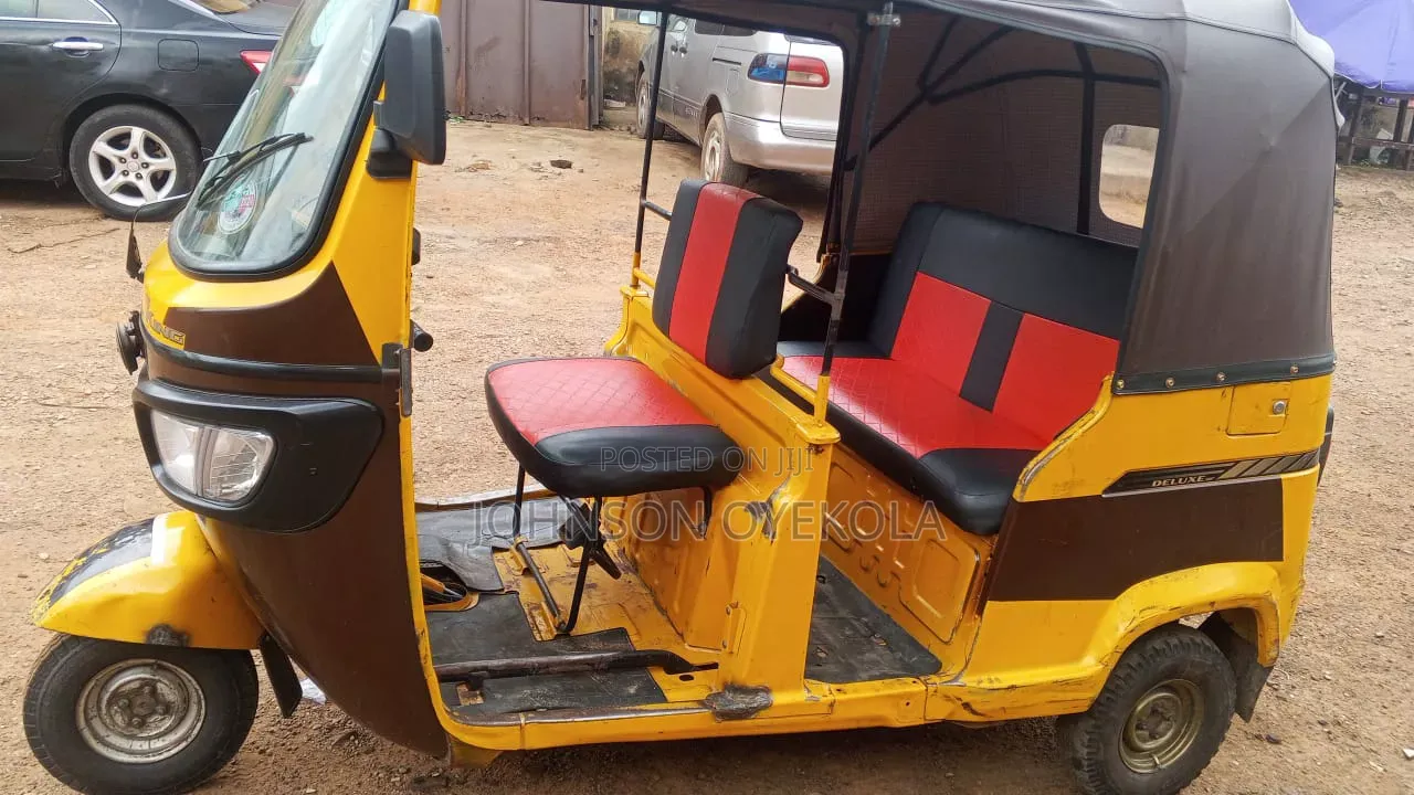 Tricycle 2025 Brown