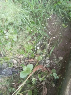 1,300 Square Meters Land at Maitama, Abuja for Sale