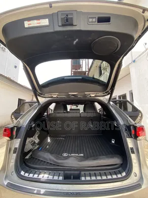 Lexus NX 2018 Gray