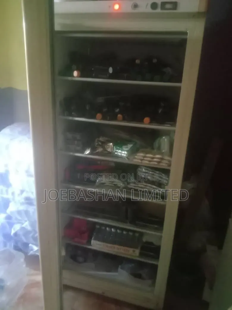 Jumbo Standing Freezer