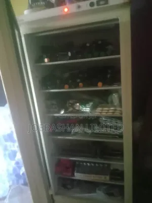 Jumbo Standing Freezer