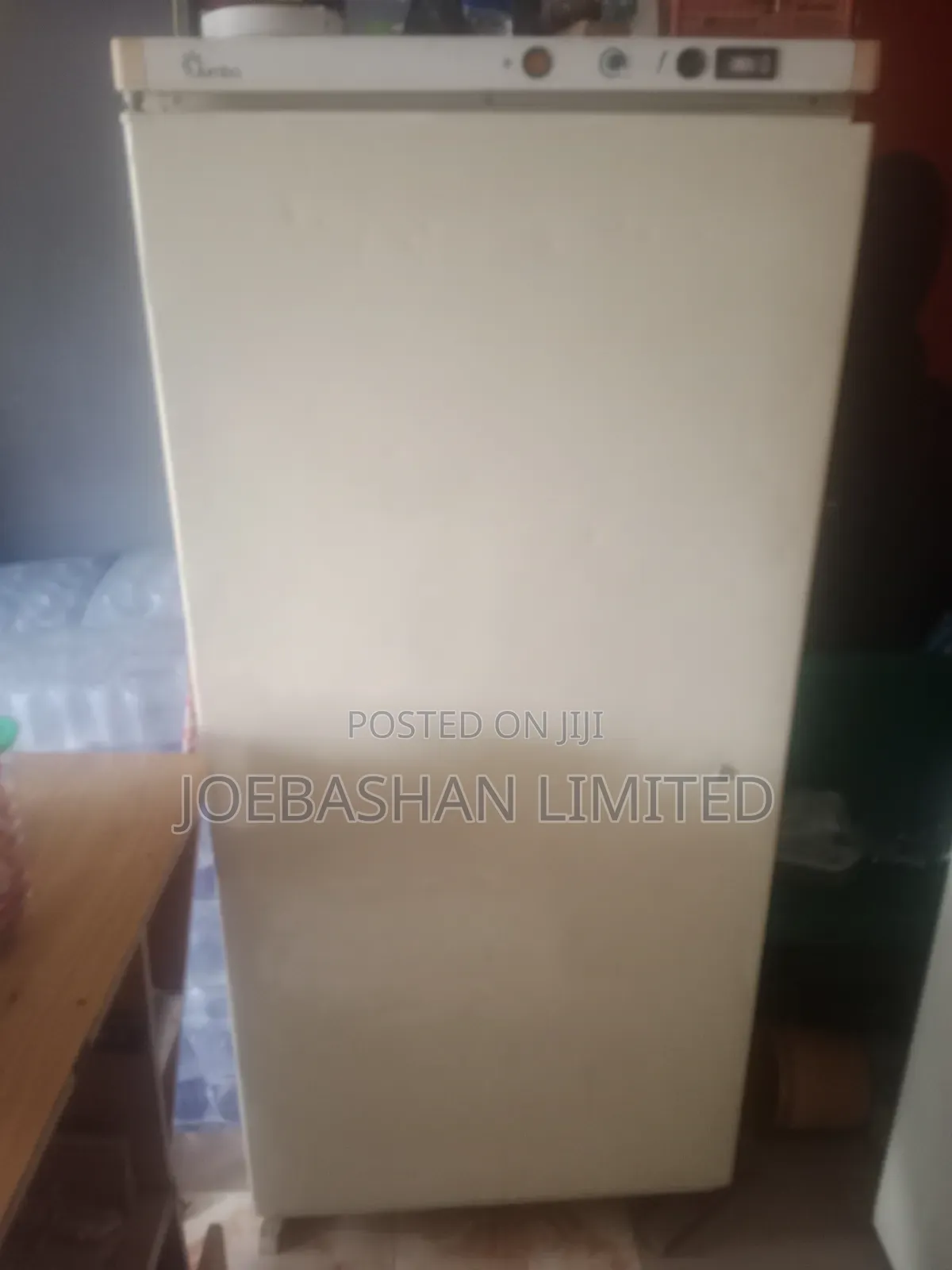 Jumbo Standing Freezer