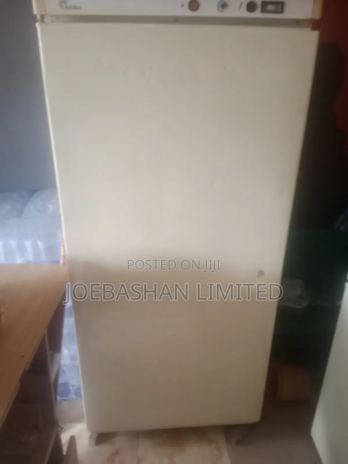 Jumbo Standing Freezer