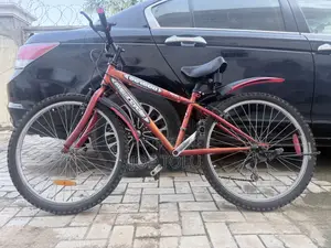 Super Clean Belgium Bicycles