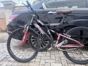 Super Clean Belgium Bicycles