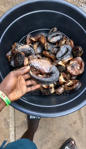 Timi Farms