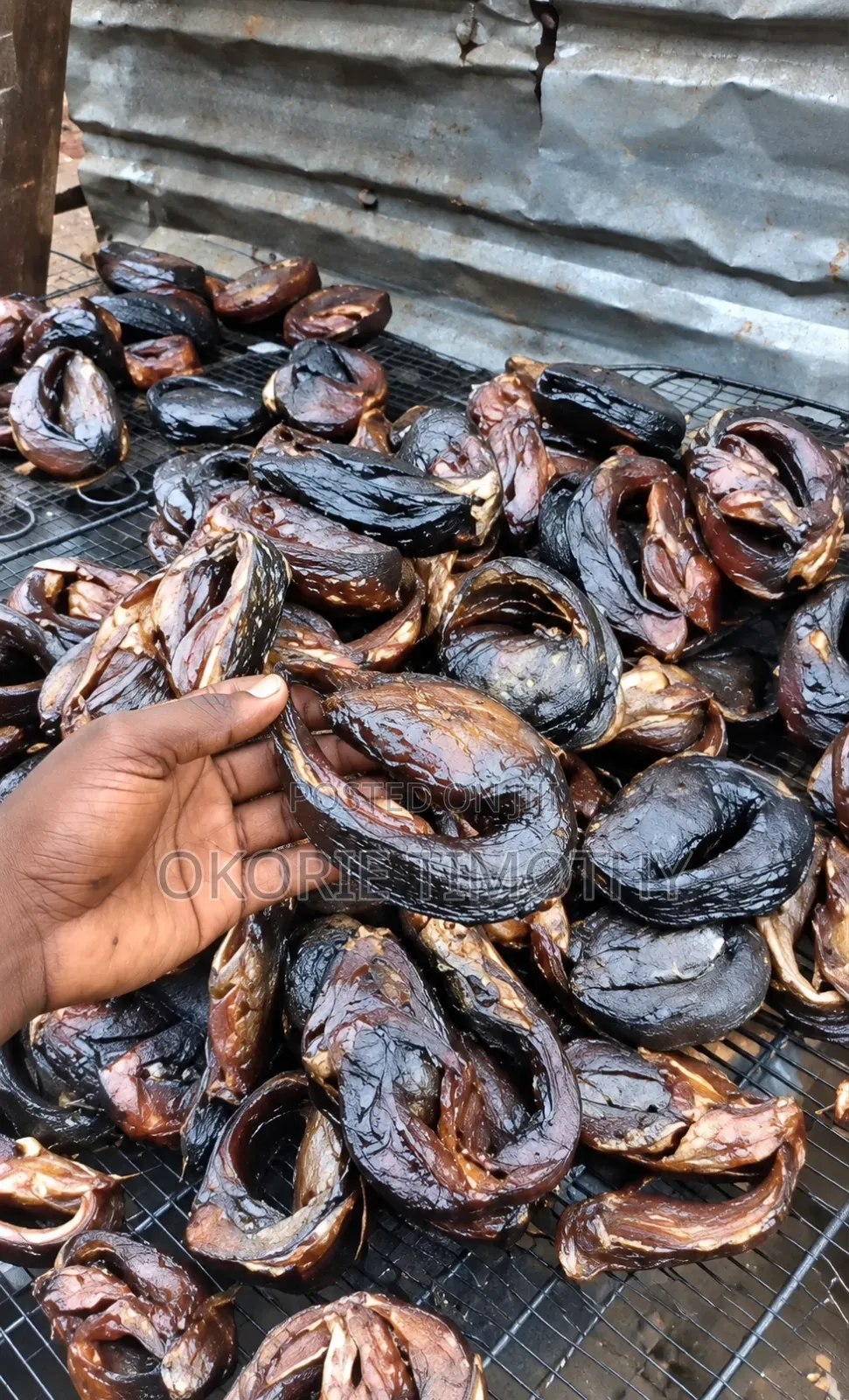 Timi Farms