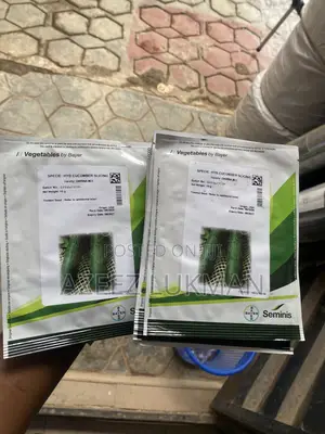 Seminis Darina F1