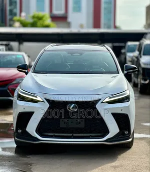 Lexus NX 2024 White