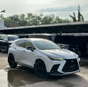 Lexus NX 2024 White