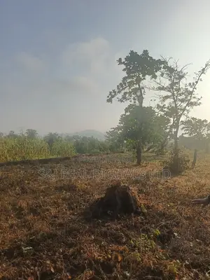 2,391 SQM Land in Maitama Main
