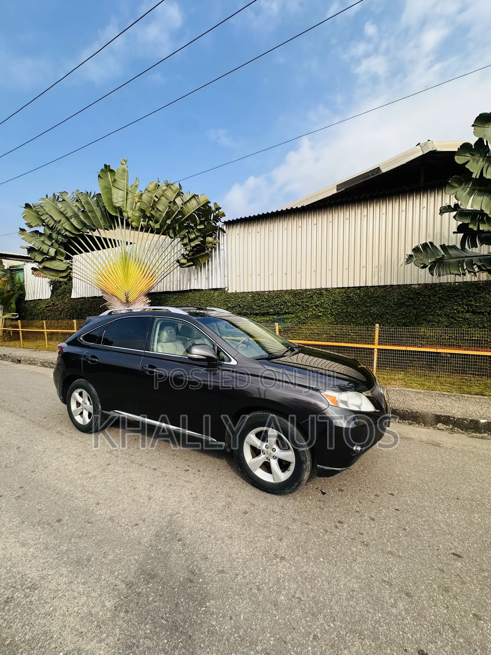 Lexus RX 2010