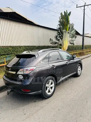 Lexus RX 2010