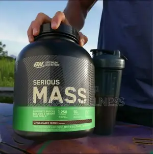 Optimum Nutrition Serious Mass 6LB Chocolate – Weight Gainer