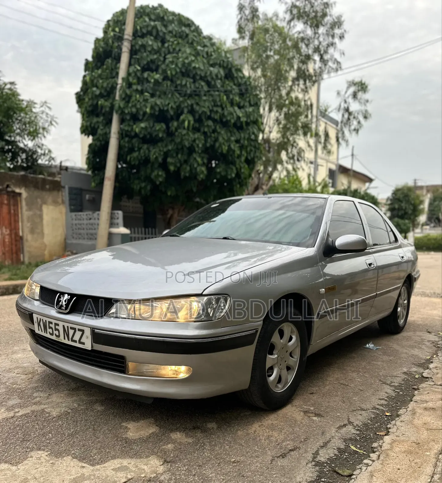 Peugeot 406 2004 Silver