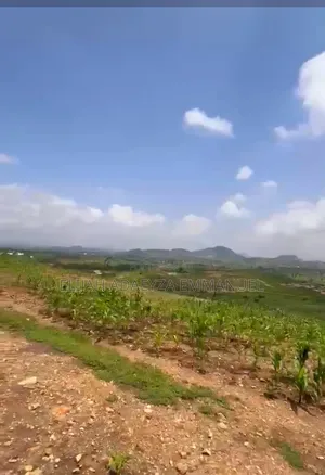1.5 Hector's of Land in Pyakasa Lugbe District