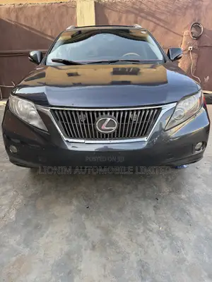 Lexus RX 350 2010 Gray