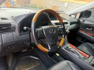 Lexus RX 350 2010 Gray