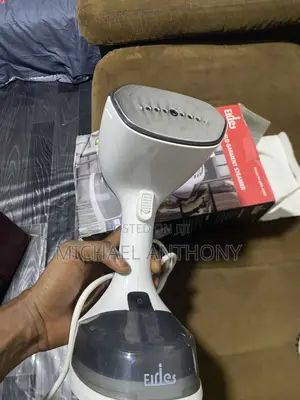 Handheld Steamer