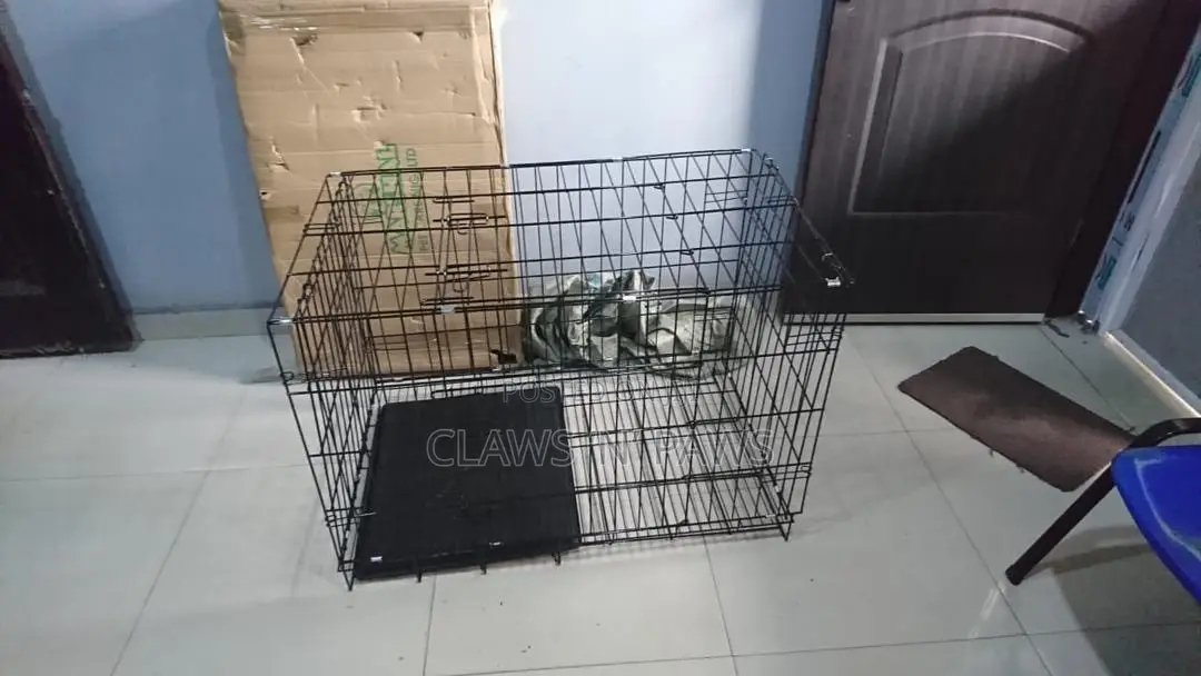 Dog Cat Cages