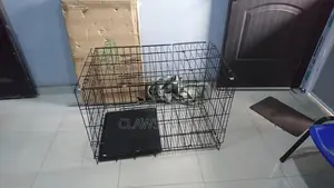 Dog Cat Cages