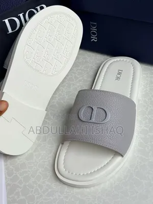 Dior Shoe