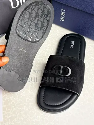Dior Shoe