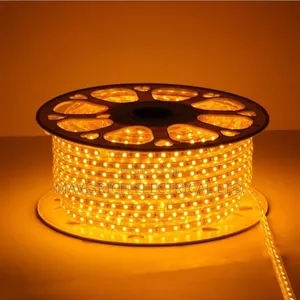 LED Rope Light