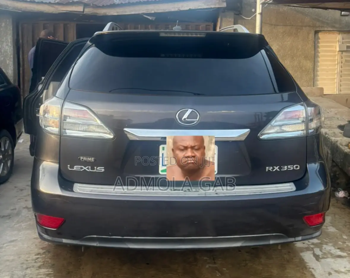 Lexus RX 2011 Brown