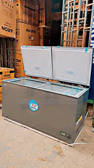 Aeon Double Door Freezer
