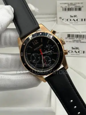 Automatic Quality Luxury Coach Men Genuine Leather Wristwatch