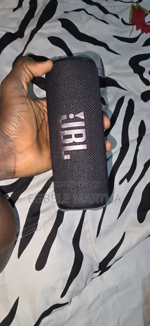 Mint JBL Flip 6
