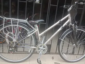 Adult Bicycle Size 28 Bronx With Back Carrier