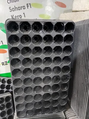 Seeds Tray