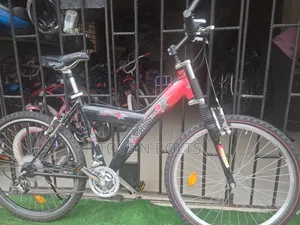 Mountain Active Bicycle With Bull Horn Handle and Front Shocks