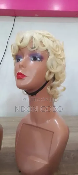 Short Human Hair Wig