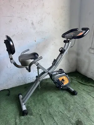 Xbike With Back Extension