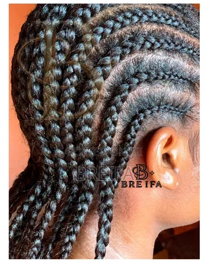 Natural Hair Braiding Services | BREIFA, the Beauty Dynasty