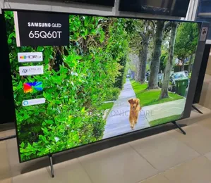 Samsung 65 Inch Frameless Smart TV Qled